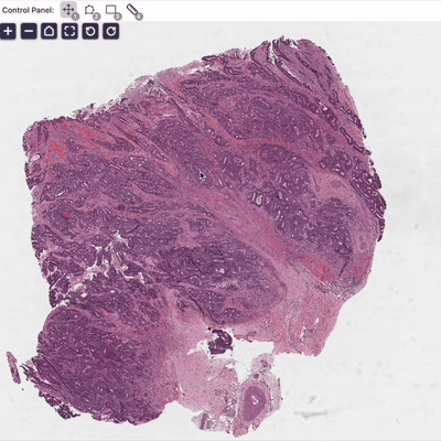TissueLab Real-time Tissue Classification