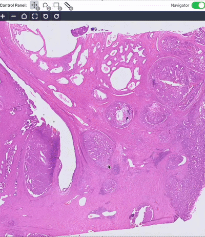 TissueLab Single Cell Analysis